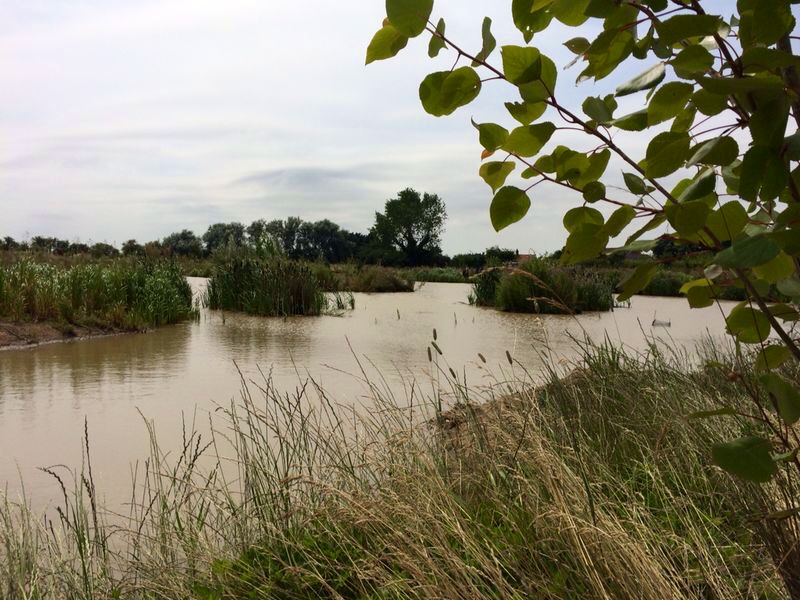 Olcote Farm Conservation Area