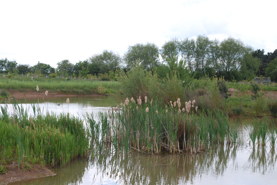 Olcote Farm Conservation Area