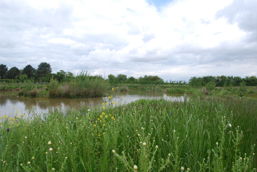 Olcote Farm Conservation Area