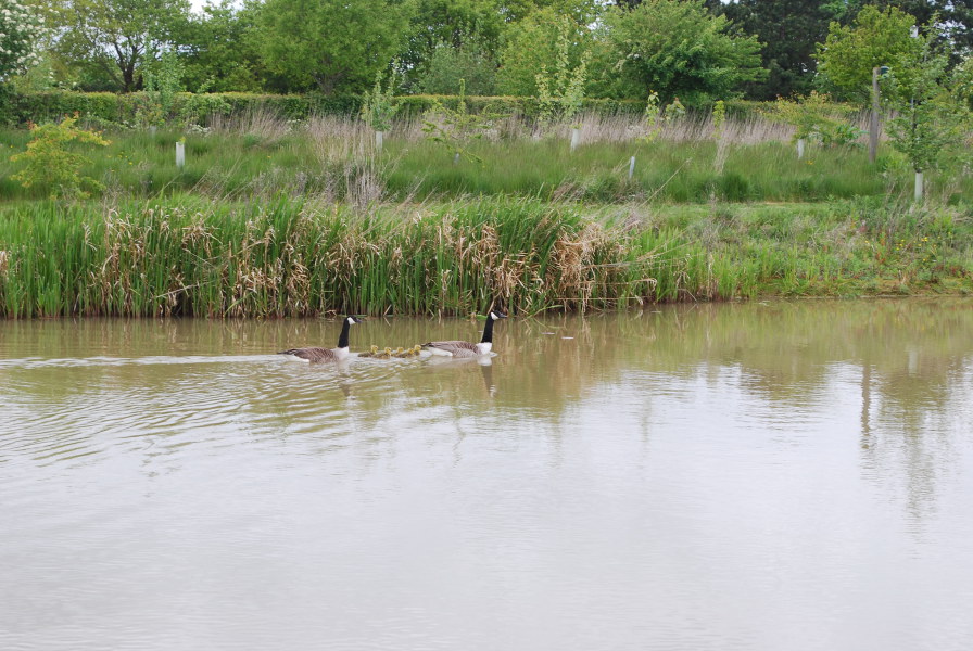 Olcote Farm Conservation Area