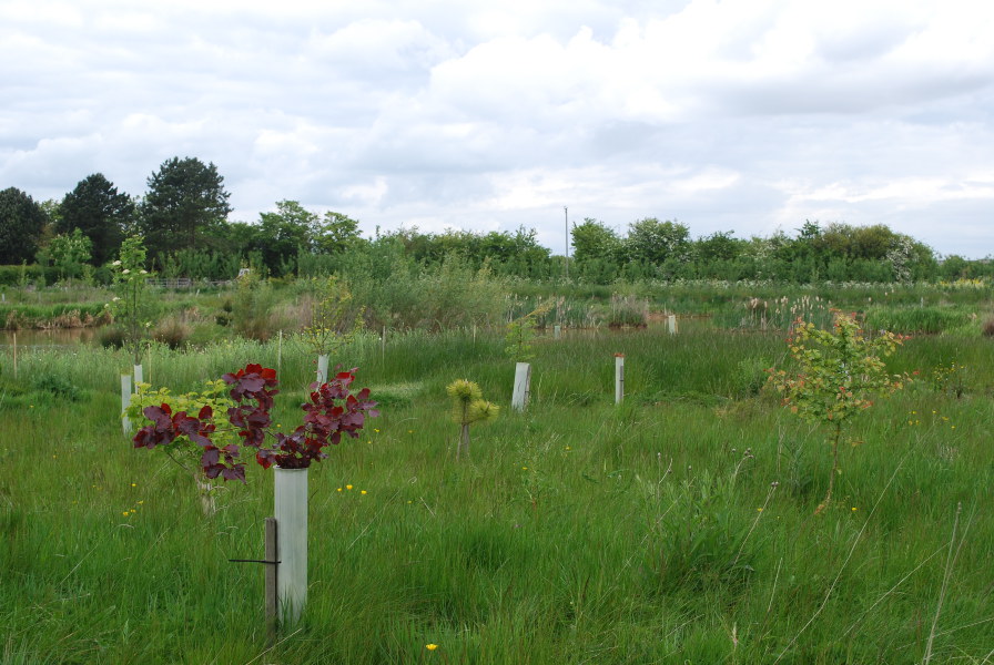 Olcote Farm Conservation Area
